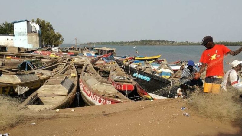 Pêche Artisanale de Guinée : Le Coordinateur National Des Débarcadères De Guinée Rappelle Alpha Condé Sur Une De Ses Promesses