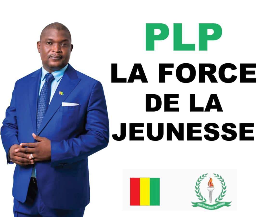 Laye Souleymane DIALLO président  du PLP prend acte de la nouvelle situation politique.
